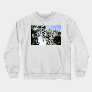 Weaping Willow in the Sun Crewneck Sweatshirt